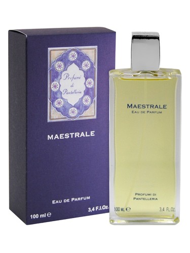 Maestrale for Man