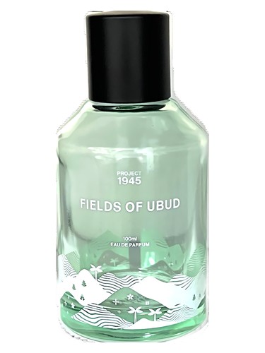 Fields of Ubud