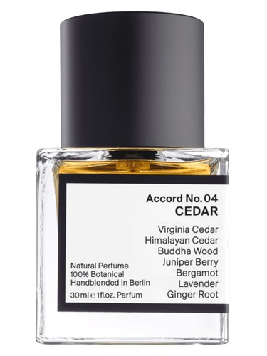 Accord No. 04: Cedar