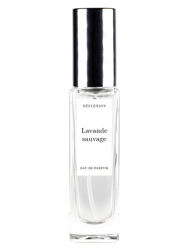 Lavande Sauvage