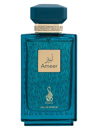 Ameer