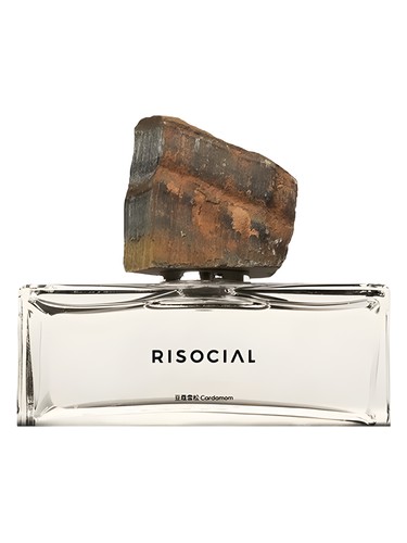 Cardamom 豆蔻雪松