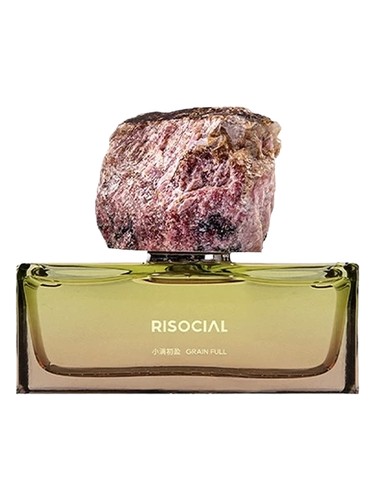 Grain Full 小满初盈