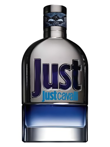 Just Cavalli Him 2013