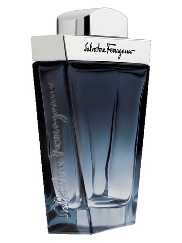 Salvatore Ferragamo Subtil Pour Homme