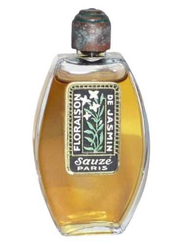 Floraison de Jasmin