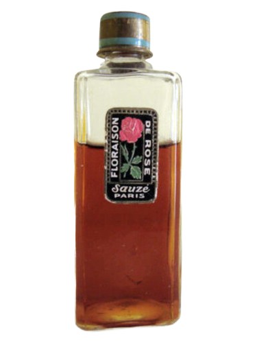 Floraison de Rose