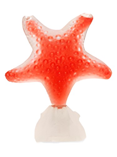 Star Red Passion