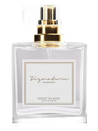 White Tea Rose
