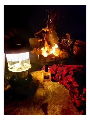 Camp Willow