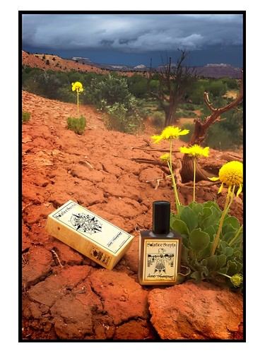 Desert Thunderstorm