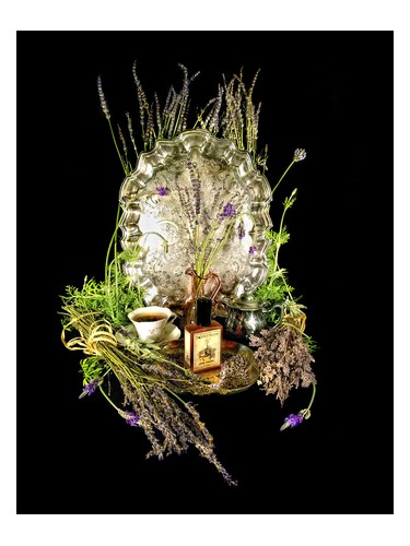 Estate Lavender