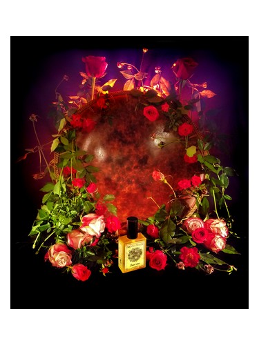 Orient Rose