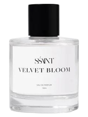 Velvet Bloom
