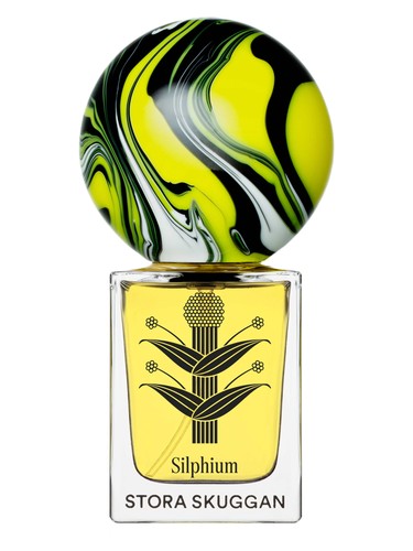 Silphium