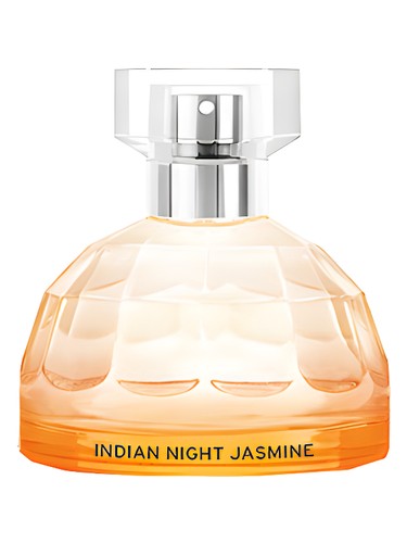 Indian Night Jasmine