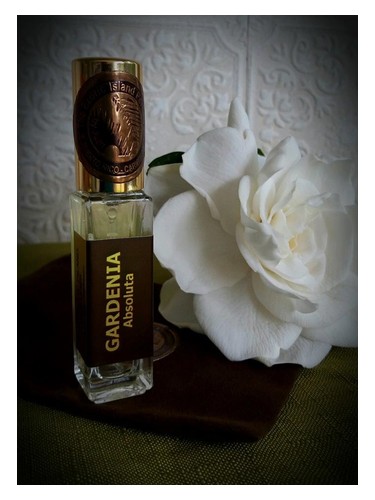 Gardenia Absoluta