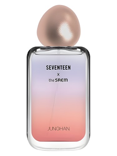 Seventeen X Junghan