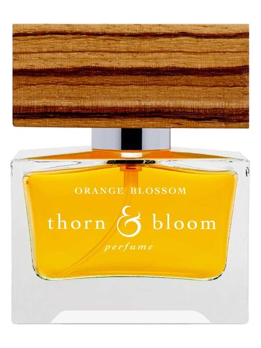 Orange Blossom