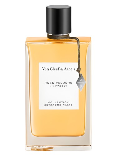 Rose Velours