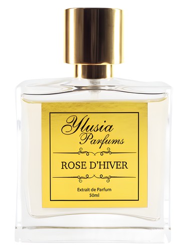 Rose d'Hiver